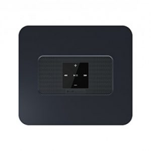 BlueSound Vault 2 Player Server Ripper 675x500 3
