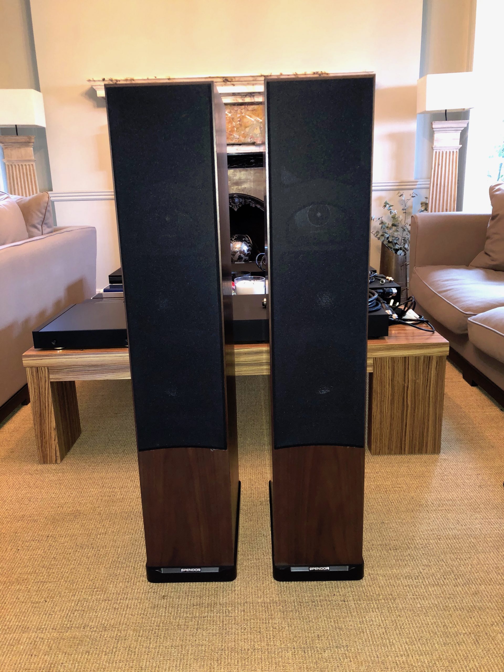 spendor d9 with naim