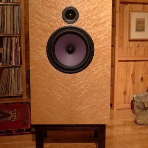 DeVORE FIDELITY Orangutan O Speakers
